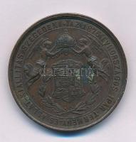 1876. "Az 1876 évi Országos Ipar-termény- és Állat-kiállítás Szegeden / Emlék Érem" kétoldalas vert bronz emlékérem (40mm) T:AU kis patina