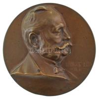 Murányi Gyula (1881-1920) DN "Lánczy Leó V 8 T T" bronz emlékérem (50mm) T:AU patina, kis ph. HP 3673.