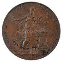 Schwartz István (1851-1924) 1885. "Országos Általános Kiállítás Budapesten 1885 / Boros S.-nek, Budapest - Az érdem jeléül" vert bronz díjérem (65mm) T:AU,XF patina Hungary 1885. "Országos Általános Kiállítás Budapesten 1885 / Boros S.-nek, Budapest - Az érdem jeléül (National Exposition at Budapest in 1885 / For S. Boros from Budapest - As the Sign of Merit)" strucked bronze commemorative medallion. Sign.: István Schwartz (65mm) C:AU,XF patina