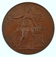 Schwartz István (1851-1924) 1885. "Országos Általános Kiállítás Budapesten 1885 / Boros S.-nek, Budapest - Az érdem jeléül" vert bronz díjérem (65mm) T:AU patina / Hungary 1885. "Országos Általános Kiállítás Budapesten 1885 / Boros S.-nek, Budapest - Az érdem jeléül (National Exposition at Budapest in 1885 / For S. Boros from Budapest - As the Sign of Merit)" strucked bronze commemorative medallion. Sign.: István Schwartz (65mm) C:AU patina
