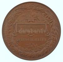 Schwartz István (1851-1924) 1885. "Országos Általános Kiállítás Budapesten 1885 / Boros S.-nek,...