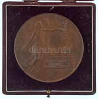 Beck Ötvös Fülöp (1873-1945) 1896. "1896-iki EZREDÉVES ORSZÁGOS KIÁLLÍTÁS / KIÁLLÍTÁSI ÉREM AZ ÉRDEM JUTALMÁUL" vert bronz emlékérem, adományozva a Boross testvérek számára, eredeti kopottas bordó tokban (70mm) T:AU patina / Hungary 1896. "1896-iki EZREDÉVES ORSZÁGOS KIÁLLÍTÁS / KIÁLLÍTÁSI ÉREM AZ ÉRDEM JUTALMÁUL (1896 Millennial National Exhibition / Exhibition Medal Award of Merit)" double-sided strucked bronze commemorative medallion, awarded to the Boross brothers in original worn crimson case (70mm) C:AU patina HP 752.