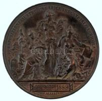 Ausztria 1882. "Esposizione Austro Ungarica Industriale Agricola - Trieste 1882 (Osztrák-Magyar Ipari és Mezőgazdasági Kiállítás - Trieszt 1882)" vert bronz emlékérem. Szign.: Anton Scharff / J. Schwerdtner (60mm) T:AU,XF patina / Austria 1882. "Esposizione Austro Ungarica Industriale Agricola - Trieste 1882 (Austro-Hungarian Industrial and Agricultural Exposition - Trieste 1882)" strucked bronze commemorative medal. Sign.: Anton Scharff / J. Schwerdtner (60mm) C:AU,XF patina