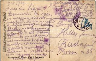 1918 Mykolaiv, Mikolajów; Widok Ogolny / Totalansicht. E. Schreier / general view (EB)