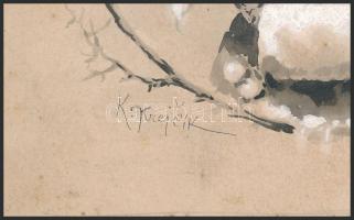 Karel Krejčík (1857-1901): Divatos hölgy. Lavírozott tus, fedőfehér, papír, jelzett. Kissé kopott pa...