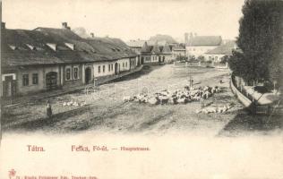 Tátra Felka main street with shepherd