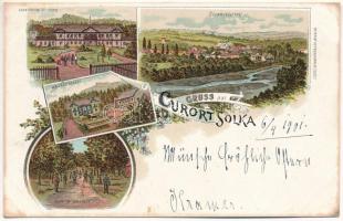 1901 Solca, Szolka, Solka (Bukovina, Bucovina, Bukowina); Sanatorium Dr. Poras, Solka (Südseite), Waldrestaurant, Allee im Waldpark / sanatorium, forest restaurant and park, general view. Schneider &amp; Lux Art Nouveau, floral, litho (fl)