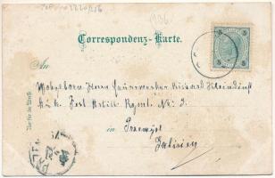 1901 Solca, Szolka, Solka (Bukovina, Bucovina, Bukowina); Sanatorium Dr. Poras, Solka (Südseite), Wa...