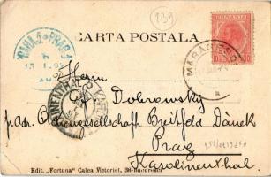 1904 M. S. Regina Elisabeta in costum National / Elisabeth of Wied, First Queen of Romania (wife of ...