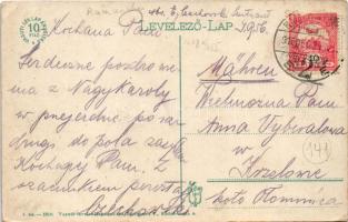 1916 Nagykároly, Carei; Deák Ferenc tér, Pucser Károly, Klein József, Janitzky Albert, Rubletzky Ign...