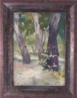 Szőnyi I jelzéssel: Táj. Olaj, vászon. Javított. Dekoratív fakeretben. 38,5x28 cm