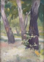 Szőnyi I jelzéssel: Táj. Olaj, vászon. Javított. Dekoratív fakeretben. 38,5x28 cm