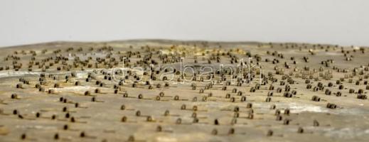 cca 1890-1900 Celesta music box hanglemez, d: 40 cm