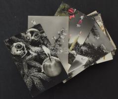 101 db MODERN fekete-fehér üdvözlő képeslap / 101 modern black and white greeting postcards