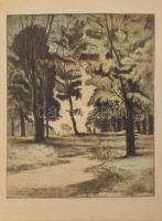 Komjáti-Wanyerka Gyula (1894-1958): Erdei út. Színezett rézkarc, papír, jelzett, lap széle foltos, 39×29 cm