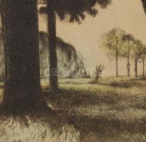 Komjáti-Wanyerka Gyula (1894-1958): Erdei út. Színezett rézkarc, papír, jelzett, lap széle foltos, 3...