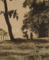 Komjáti-Wanyerka Gyula (1894-1958): Erdei út. Színezett rézkarc, papír, jelzett, lap széle foltos, 3...