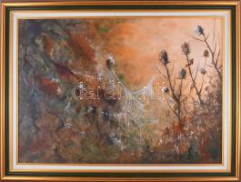 dr. Soós László (1944-2019): Hangulatos táj. Olaj, vászon, kartonon. Jelzett. Dekoratív fakeretben. 50x70 cm