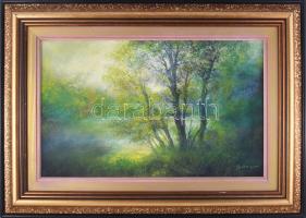 Bányai Béla (1955-): Hangulatos táj. Olaj, farost. Jelzett. Dekoratív fakeretben. 33,5x54 cm
