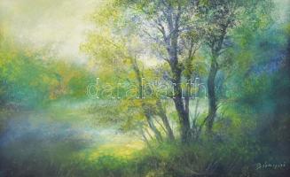 Bányai Béla (1955-): Hangulatos táj. Olaj, farost. Jelzett. Dekoratív fakeretben. 33,5x54 cm