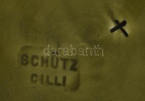 Schütz Cilli szőlőlevél mintás fajansz tányér, Jelzett, javított d: 20 cm