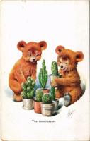 The connoisseurs, bear with cactus art postcard. B.K.W.I. 62-4. (kopott sarkak / worn corners)
