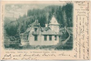 1901 Pojorata, Pojorita, Pozoritta (Bukovina, Bucovina, Bukowina); Salutare din Pareu Frumos, Pojorita / Villa Klika, im Hintergrunde Giumaleu / villa. Leon König (Czernowitz) No. 477. (EB)