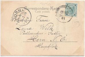 1901 Pojorata, Pojorita, Pozoritta (Bukovina, Bucovina, Bukowina); Salutare din Pareu Frumos, Pojori...