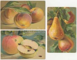 3 db RÉGI (1905 előtti) litho gyümölcsök képeslap / 3 pre-1905 litho fruits art postcards