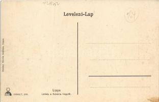 Lippa, Lipova; látkép a Kálvária hegyről este holdfényben / general view from the calvary hill at ni...