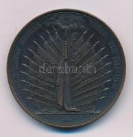 Svájc 1895. "DER GEIST UNSRER VATER SEY MIT UNS - LANCENTHAL DEN 18. JULI 1822 / GRÜTLI DEN XVII NOV MCCCVII" kétoldalas, vert bronz emlékérem, a Langerthal-i Tisztitalálkozó emlékére (46mm) T:AU,XF