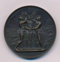 Svájc 1895. "DER GEIST UNSRER VATER SEY MIT UNS - LANCENTHAL DEN 18. JULI 1822 / GRÜTLI DEN XVI...