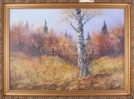Kovrig Miklós (1951-): Őszi erdő. Olaj, farost. Jelzett. Hátoldalán autográf felirattal. 50x70 cm. Dekoratív, sérült fakeretben.