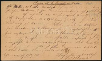 1881 2kr díjjegyes levelezőlap / PS-card "CZERNOWITZ STADT" - Wien