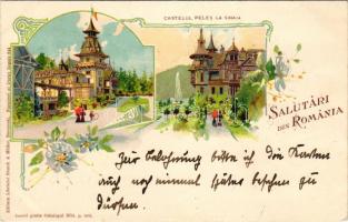 1898 Sinaia, Salutari din Romania. Castelul Peles la Sinaia / castle. Editura Librariei Storck &amp; Müller Art Nouveau, floral, litho (EK)