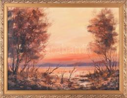 Kovrig Miklós (1951-): Őszi vízpart. Olaj, farost. Jelzett. Hátoldalán autográf felirattal. 30x40 cm. Dekoratív fakeretben.