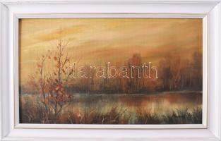 Kovrig Miklós (1951-): Őszi vízpart. Olaj, farost. Jelzett. Hátoldalán autográf felirattal. 16,5x29 cm. Dekoratív fakeretben.