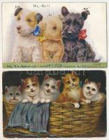 4 RÉGI kutyás és macskás művészlap vegyes minőségben / 4 pre-1945 dog and cat art postcards in mixed quality