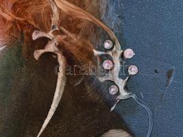 Szász Endre (1926-2003): Női portré. Olaj, farostlemez, jelzett. Alján felületi kopással (feltehetőe...