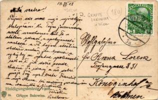 1908 Wien, Vienna, Bécs; Huldigungsfestzug Gruppe Bukowina / 60th Anniversary of Franz Joseph's...