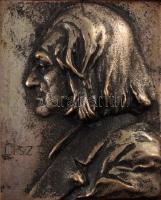 Mozar és Liszt Ferenc portréja, fa keretben, 6,5x5 cm, 22x21 cm