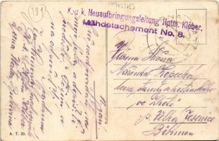 1918 Vatra Dornei, Dornavátra, Bad Dorna-Watra (Bukovina, Bucovina, Bukowina); Springbrunnen im Park...