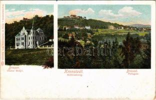 Brassó, Kronstadt, Brasov; Dealul Strajii / Fellegvár, villa. Wilh. Hiemesch kiadása és felvétele / Schlossberg / villa (kopott sarkak / worn corners)