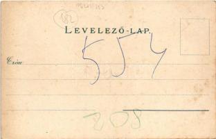 Brassó, Kronstadt, Brasov; Dealul Strajii / Fellegvár, villa. Wilh. Hiemesch kiadása és felvétele / ...