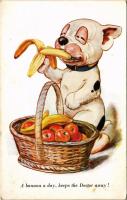 A banana a day, keeps the Doctor away! Bonzo dog. A.R. &amp; Co. 1731/3. (fl)