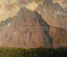 Molnár József (1821-1899): Hegyvidéki táj (Tátra?). Olaj, karton, jelezve jobbra lent. Restaurált. S...