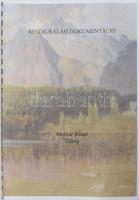 Molnár József (1821-1899): Hegyvidéki táj (Tátra?). Olaj, karton, jelezve jobbra lent. Restaurált. S...