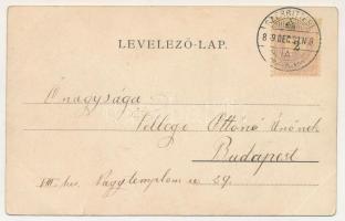 1899 Nagybecskerek, Zrenjanin, Veliki Beckerek; Amerikai rész, Bega part, Város rész. Grosits J. kia...