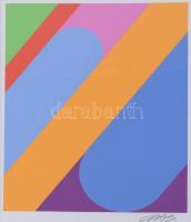 Beöthy-Steiner Anna (1902-1985): Geometrikus kompozíció (cím nélkül). Szitanyomat, papír. Jelzett. Üvegezett fakeretben. 22x17 cm.