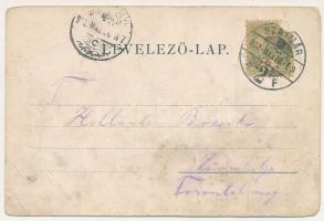 1902 Szatmárnémeti, Satu Mare; Szamospart. Löwy M. / Somes riverside. Art Nouveau, floral, litho (gy...